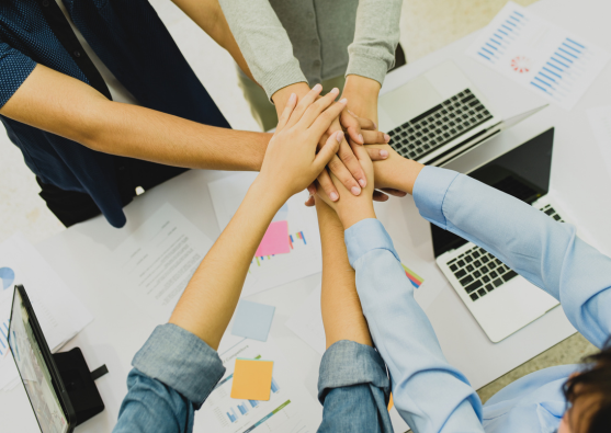 Healthcare Team Collaboration